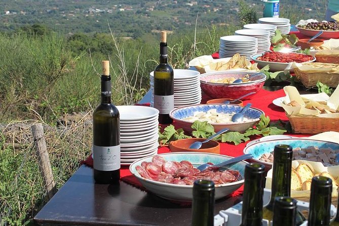 Private Tour of Etna and Winery Visit With Food and Wine Tasting From Taormina - Overall Experience