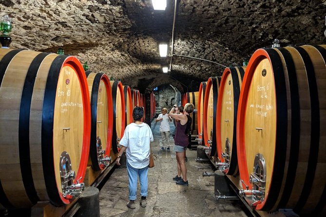 Small Group Chianti Wine Tasting With Seven Tuscan Wines - Cancellation Policy and Refunds