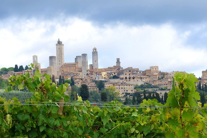 Small-Group San Gimignano and Volterra Day Trip From Siena - Positive Feedback and Reviews