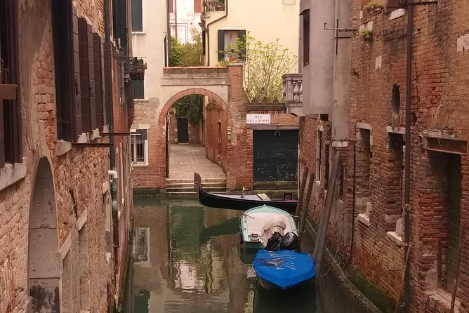 Venice Walking Tour of Most-Famous Sites Monuments & Attractions With Top Guide - Expert Guide Benefits and Expertise