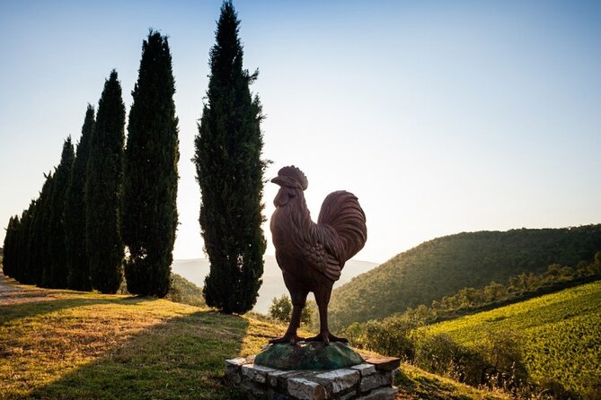 Florence Small-Group Winery and Lunch Morning Tour - Final Words