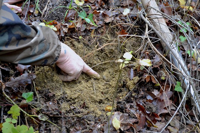 Full-Day Small-Group Truffle Hunting in Tuscany With Lunch - Additional Information