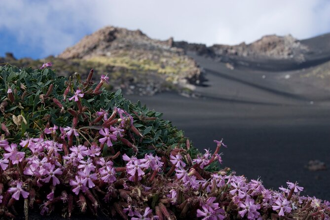 Mount Etna Excursion Visit to the Lava Tubes - Final Words