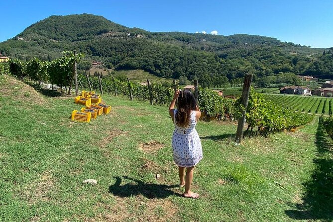 Tuscan Wine Tour in Lucca by Shuttle - Final Words