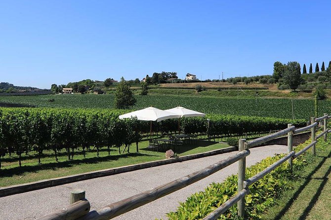 Wine and Food Tasting in the Vineyards in Lazise - Frequently Asked Questions