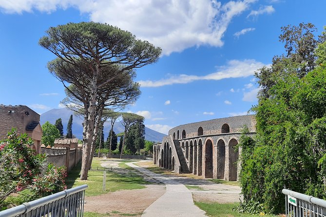 Best of Pompeii - 2 Hour Private Tour With Alex - Highlights of the Private Tour