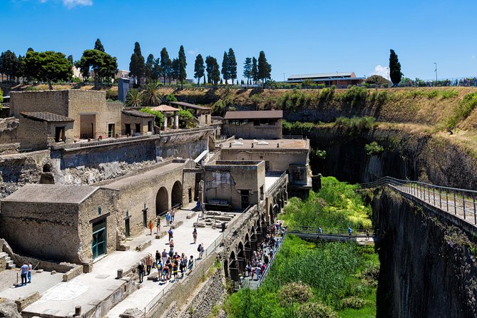 Herculaneum Private Tour With an Archaeologist - Traveler Information