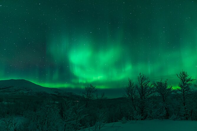 Northern Lights Tour From Kiruna to Abisko With Dinner - Tour Overview and Logistics