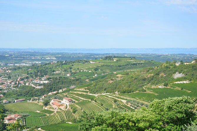 Pagus Wine Tours - a Taste of Valpolicella - Half Day Wine Tour - Traveler Reviews and Ratings