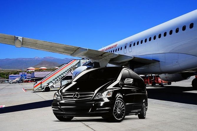 Private Port Transfer: From FCO Airport or Rome Hotel to Your Cruise Ship - Pricing and Guarantee