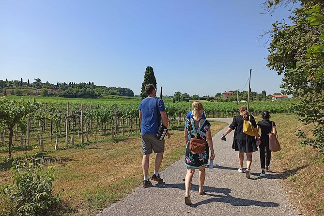 Winery Tour and Tasting of Garda Wines in Lazise