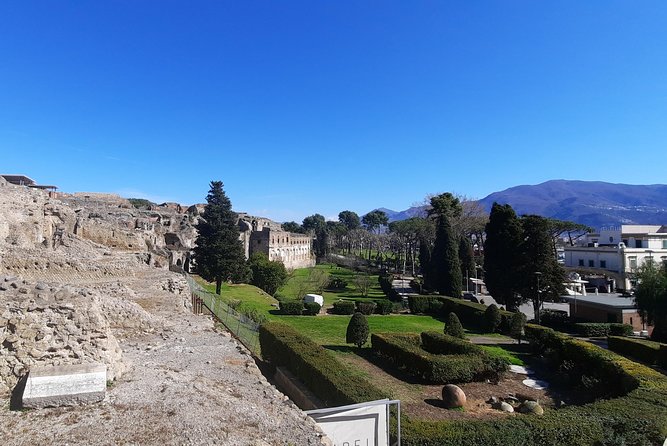 Best of Pompeii - 2 Hour Private Tour With Alex - Whats Included and Entrance Tickets