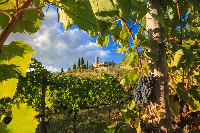 Private Tuscany Tour From Florence Including Siena, San Gimignano and Chianti Wine Region - Tour Overview