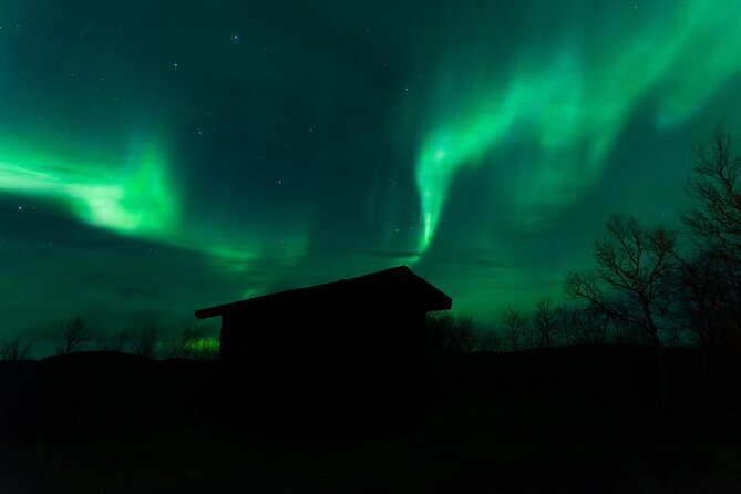 Northern Lights Tour From Kiruna to Abisko With Dinner - Tour Highlights