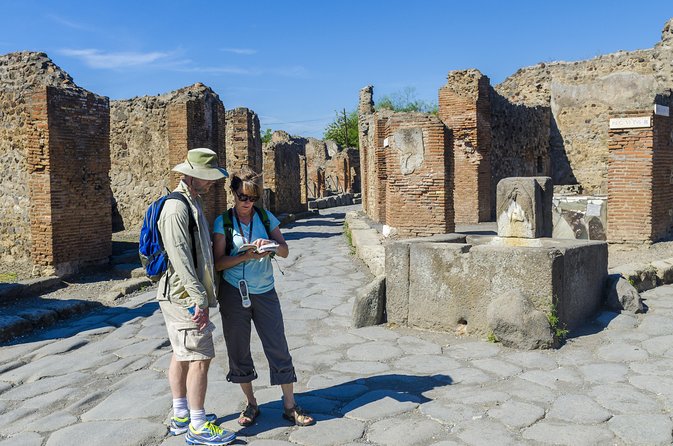 Pompeii 2-Hour Private Tour With an Archaeologist-Ticket Included - Reviews