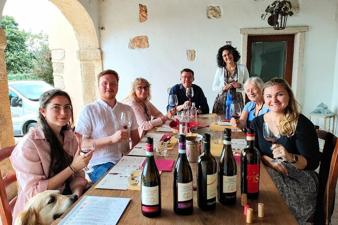 Pagus Wine Tours - a Taste of Valpolicella - Half Day Wine Tour - Visiting San Giorgio and Corte Archi Vineyards