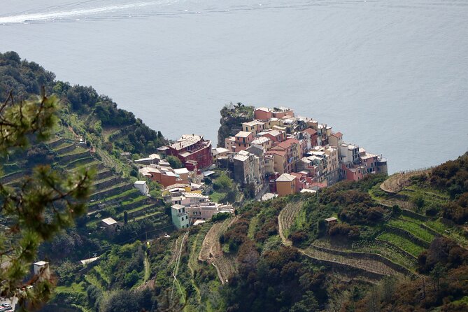 Private Cinque Terre Trekking Tours - Highlights of the Tour and Overall Satisfaction