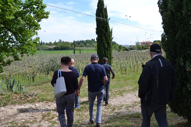 Winery Tour and Tasting of Garda Wines in Lazise - Vineyard and Barrel Room Tour