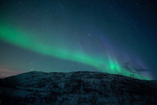 Northern Lights Tour From Kiruna to Abisko With Dinner - Dinner Experience and Menu