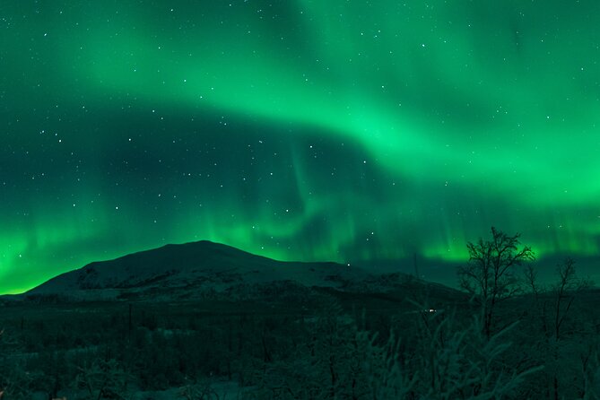 Northern Lights Tour From Kiruna to Abisko With Dinner - Additional Information