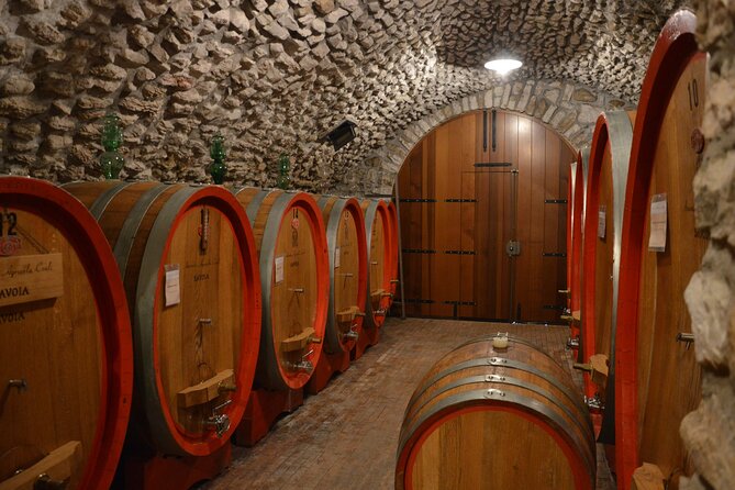 Pagus Wine Tours - a Taste of Valpolicella - Half Day Wine Tour - Frequently Asked Questions