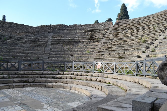 Pompeii 3 Hours Walking Tour Led by an Archaeologist - Traveler Reviews