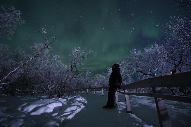 The Longest Northern Lights Tour in Abisko With Dinner - Opportunity to See the Northern Lights