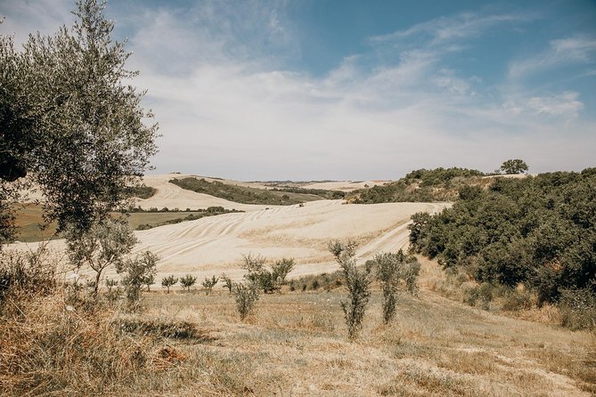 Tuscany From Rome With Winery Lunch & Medieval Towns - Amazing Fortress in Montalcino