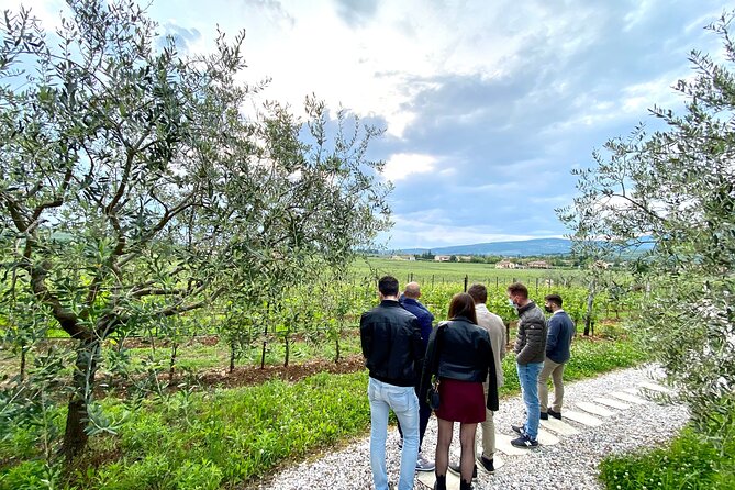 Valpolicella Wine Tour: 3 Wineries, Refined Lunch & Unique Amarone Tastings - Unique Amarone Tastings