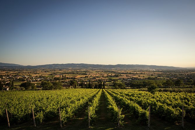 Assisi Panoramic Outdoor Wine Tasting - Final Words