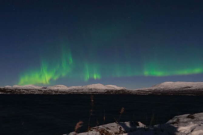 Northern Lights Tour From Kiruna to Abisko With Dinner - Language Barrier and Photography Experience