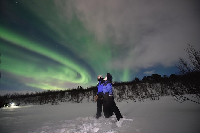 The Longest Northern Lights Tour in Abisko With Dinner - Positive Traveler Reviews