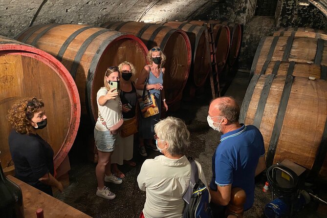 Valpolicella Wine Tour: 3 Wineries, Refined Lunch & Unique Amarone Tastings - Just The Basics