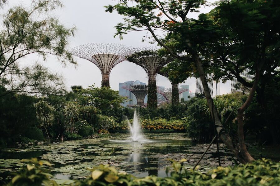 The lake and bandstand at the Singapore Botanic Gardens with mature rain trees overhanging the water