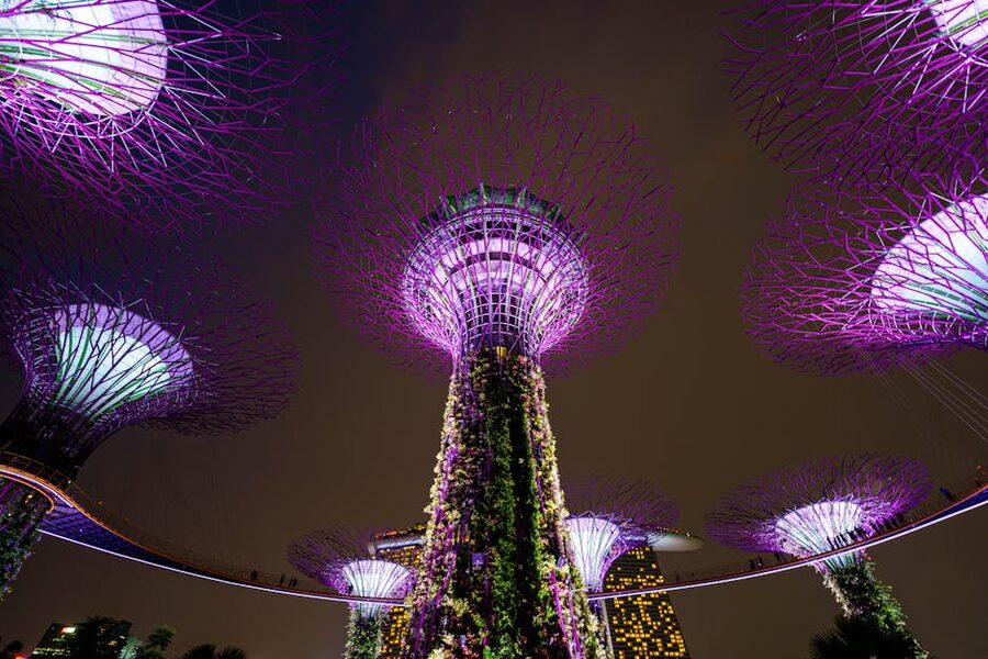 The Supertree Grove at Gardens by the Bay illuminated at night with the Marina Bay Sands hotel in the background