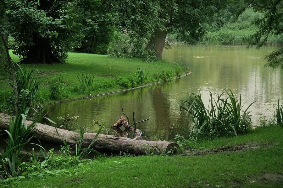 Vondelpark Amsterdam scenic view with grass and trees