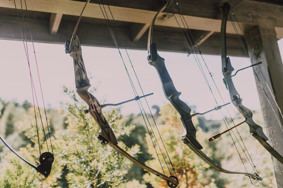 Archery bows in a forest setting evoking Katniss