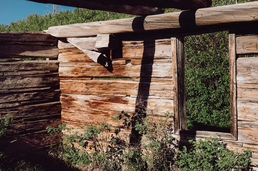 Old wooden cabin without a roof in deep forest