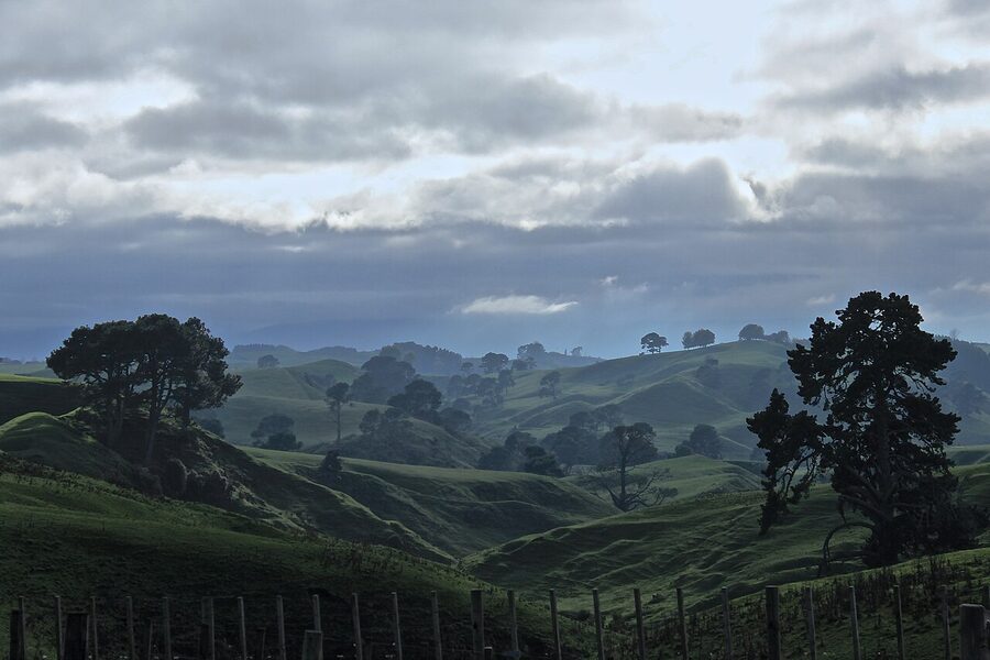 Green pastures along Buckland Road outside Matamata