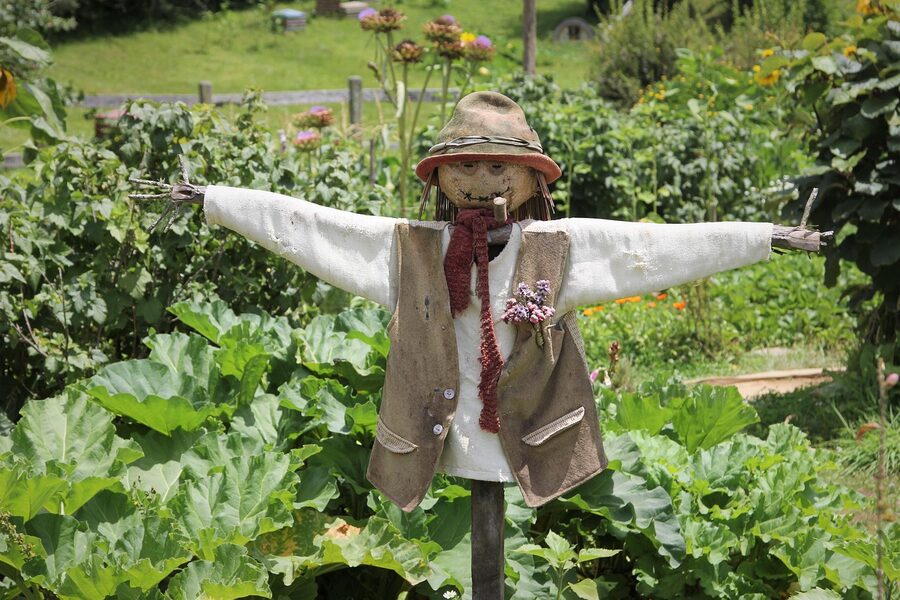 Scarecrow standing in a vegetable garden at the Hobbiton movie set