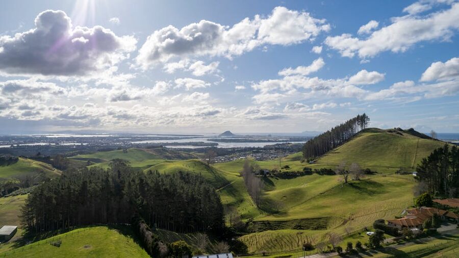 Rolling green hills of the New Zealand North Island countryside