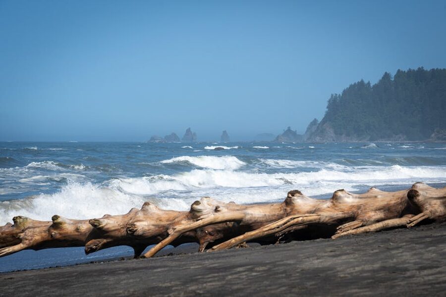 Driftwood logs on a rugged Pacific Northwest beach with crashing waves