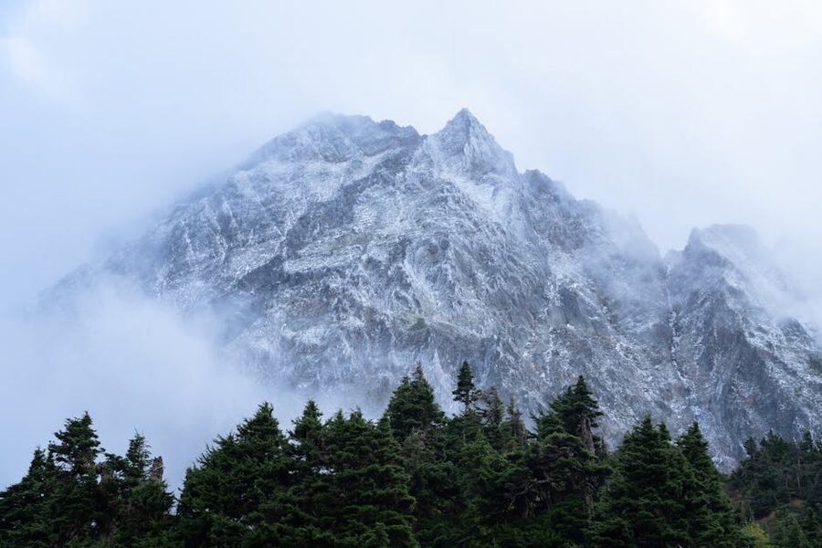 Misty fog over a forested mountain landscape in the Pacific Northwest