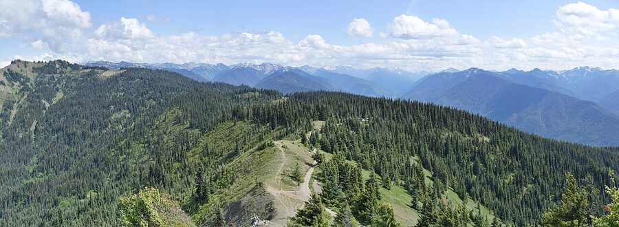 Panoramic view from Hurricane Ridge in Olympic National Park