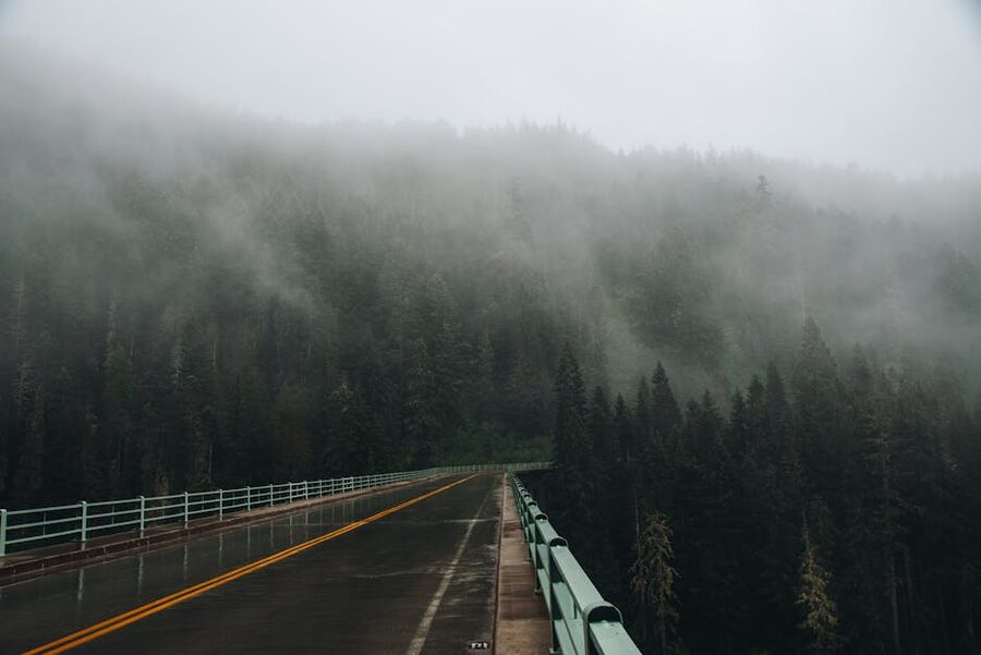 Misty forested road through Washington State on the way to Forks