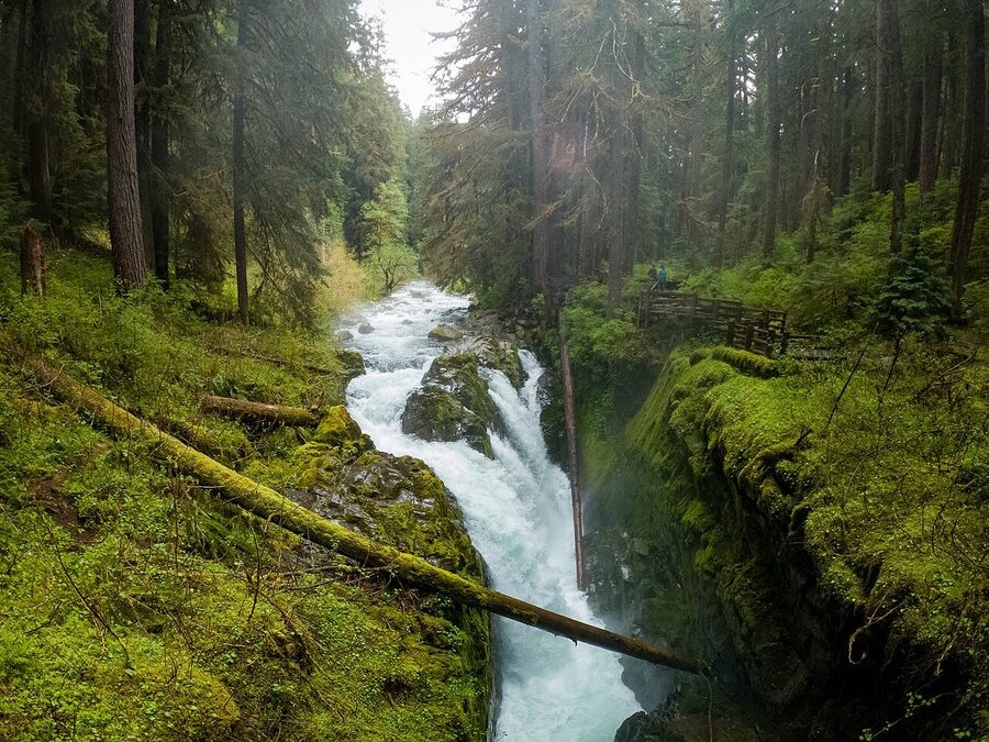 Sol Duc Falls cascading through Olympic National Park